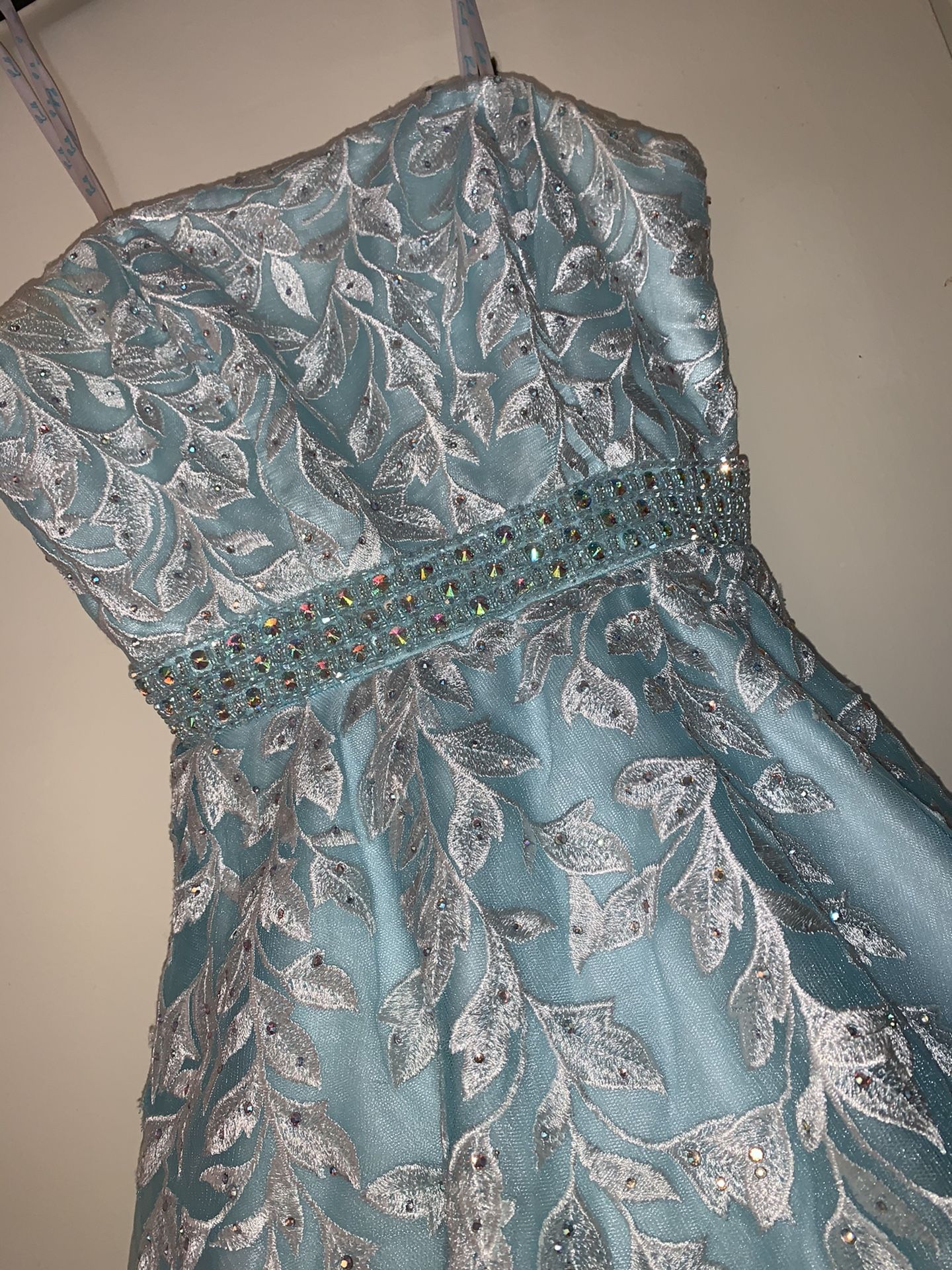 Quince /prom Dress