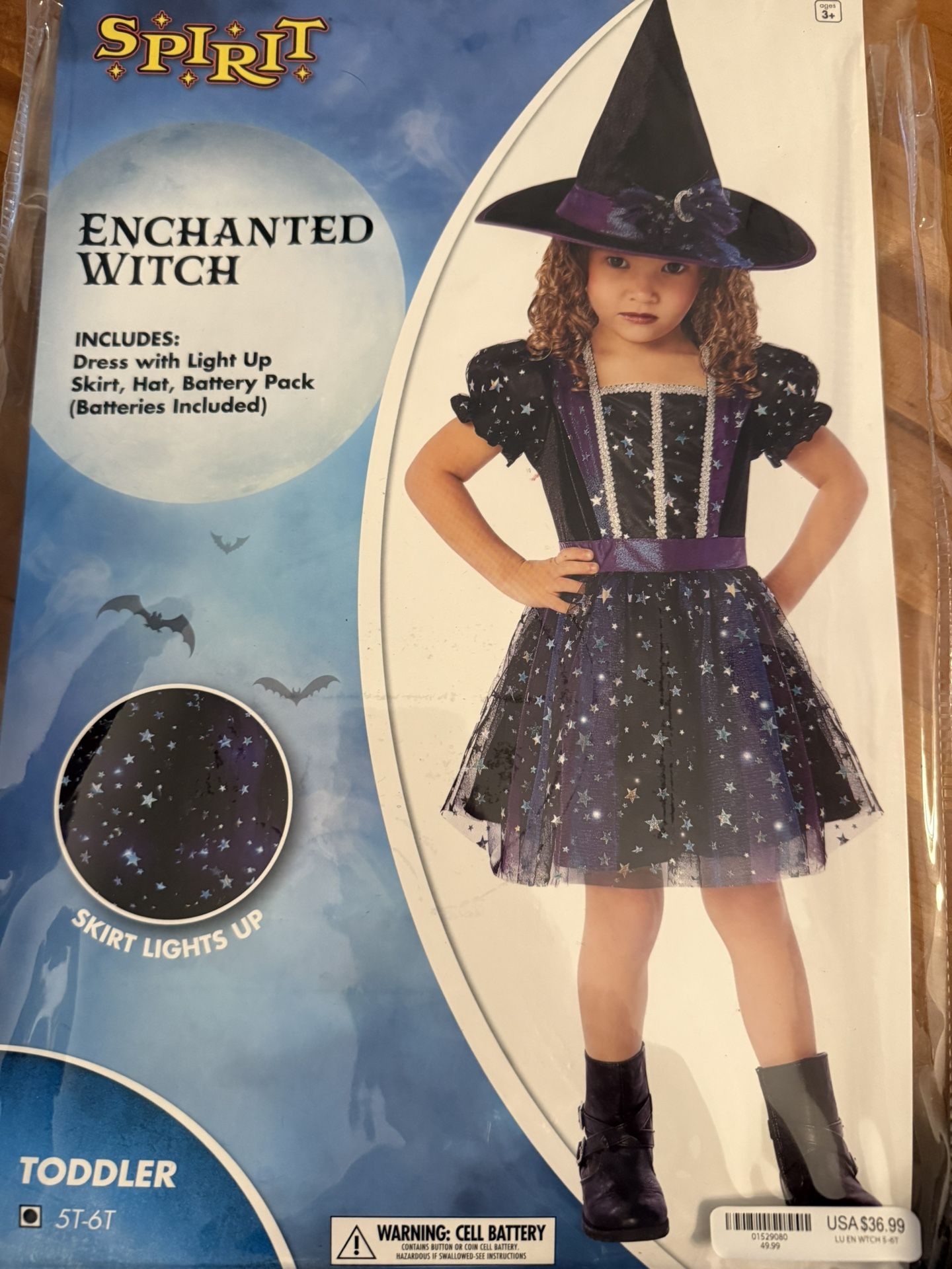 Enchanted Witch Costume