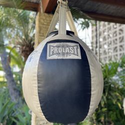 Prolast Punching Bag