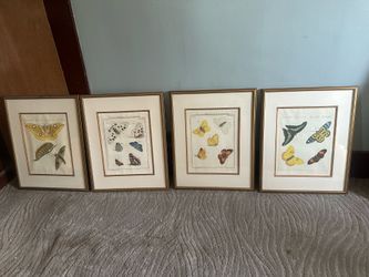 Set of Four Gold Framed Butterfly Prints