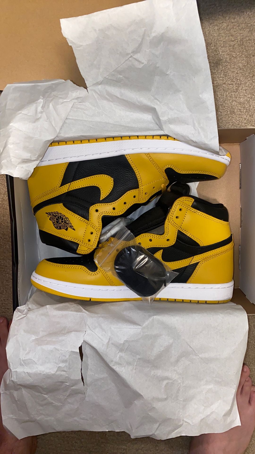 Air Jordan 1 Pollen 10.5