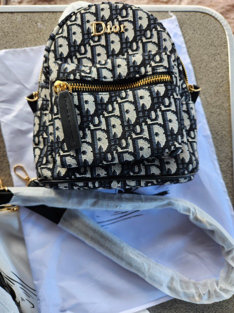 Palm Spring Mini Backpack Dupe for Sale in Johns Creek, GA - OfferUp