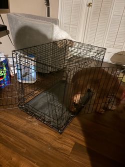Free dog kennel medium