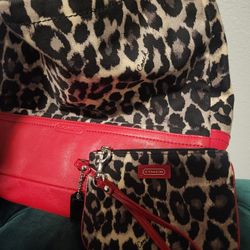 Coach Bag & Matching Wristlet 