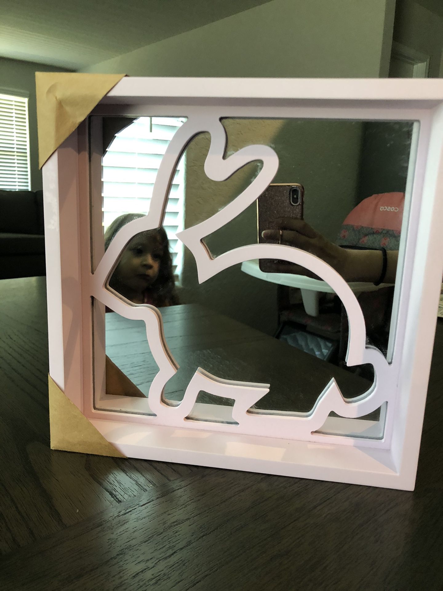 Bunny wall decor / mirror