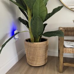Like NEW Cond- Rattan indoor Planter (plant Not included)