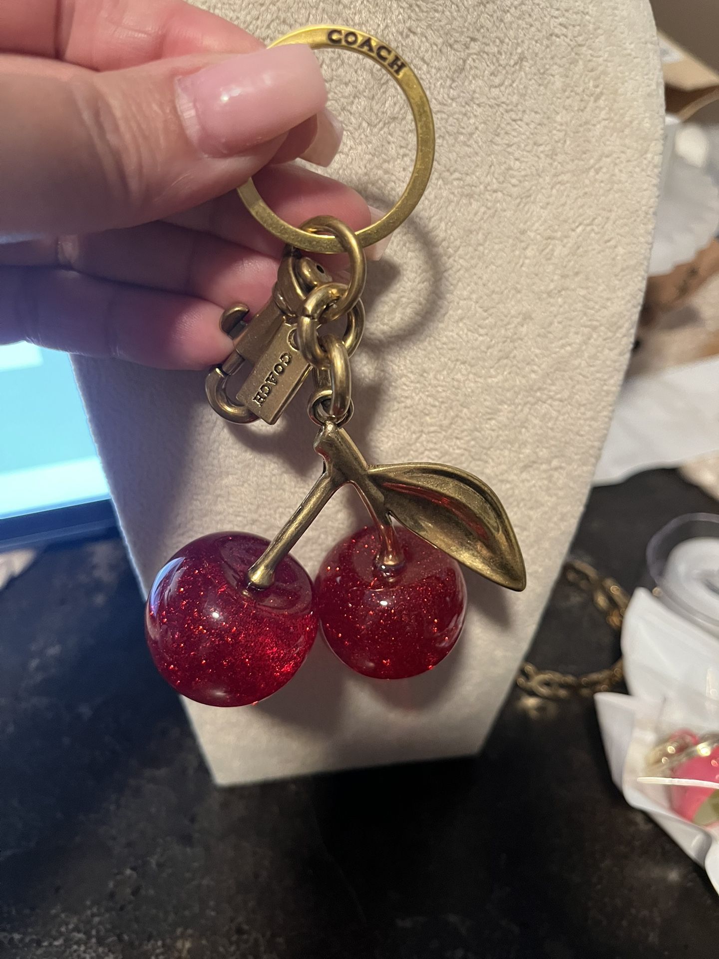 Pretty Cherry Bag Charm/Keychain π