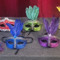 17 piece Mardi Gras Accessories