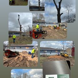 Tree Work