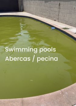 Swimming Pool Vacuuming Ready For Summer
