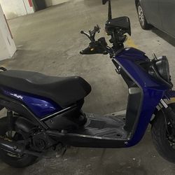 Wolf Rugby 50cc 2023