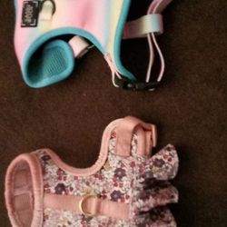 Dog Harnesses