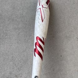 Marucci Cat X2 31 Drop 8 USSSA Bat