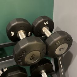 Eleiko Rotating 45lb Dumbbells (pair) 