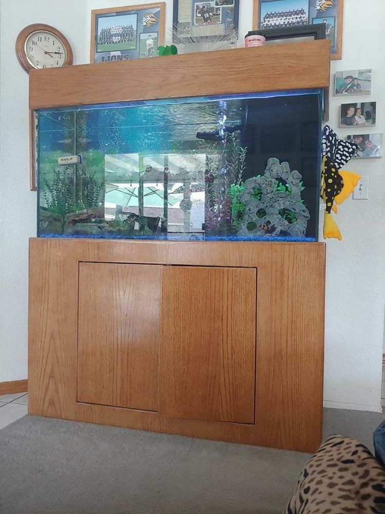 Fish tank and wood stand 90 gallon 4 feet long 18 inches deep