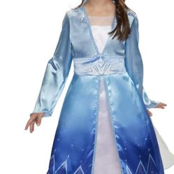Frozen Dress With Accessories
