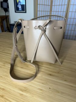 Mansur Gavriel Designer Purse 
