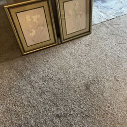 2 Flower Framed Art Pieces 