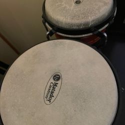 Bongo