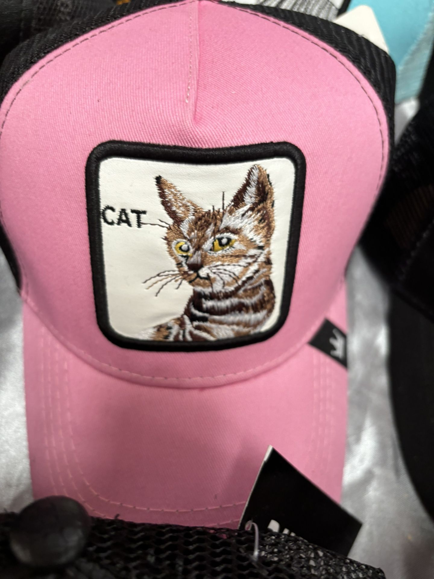 CAT HAS (Animals) Brand New 