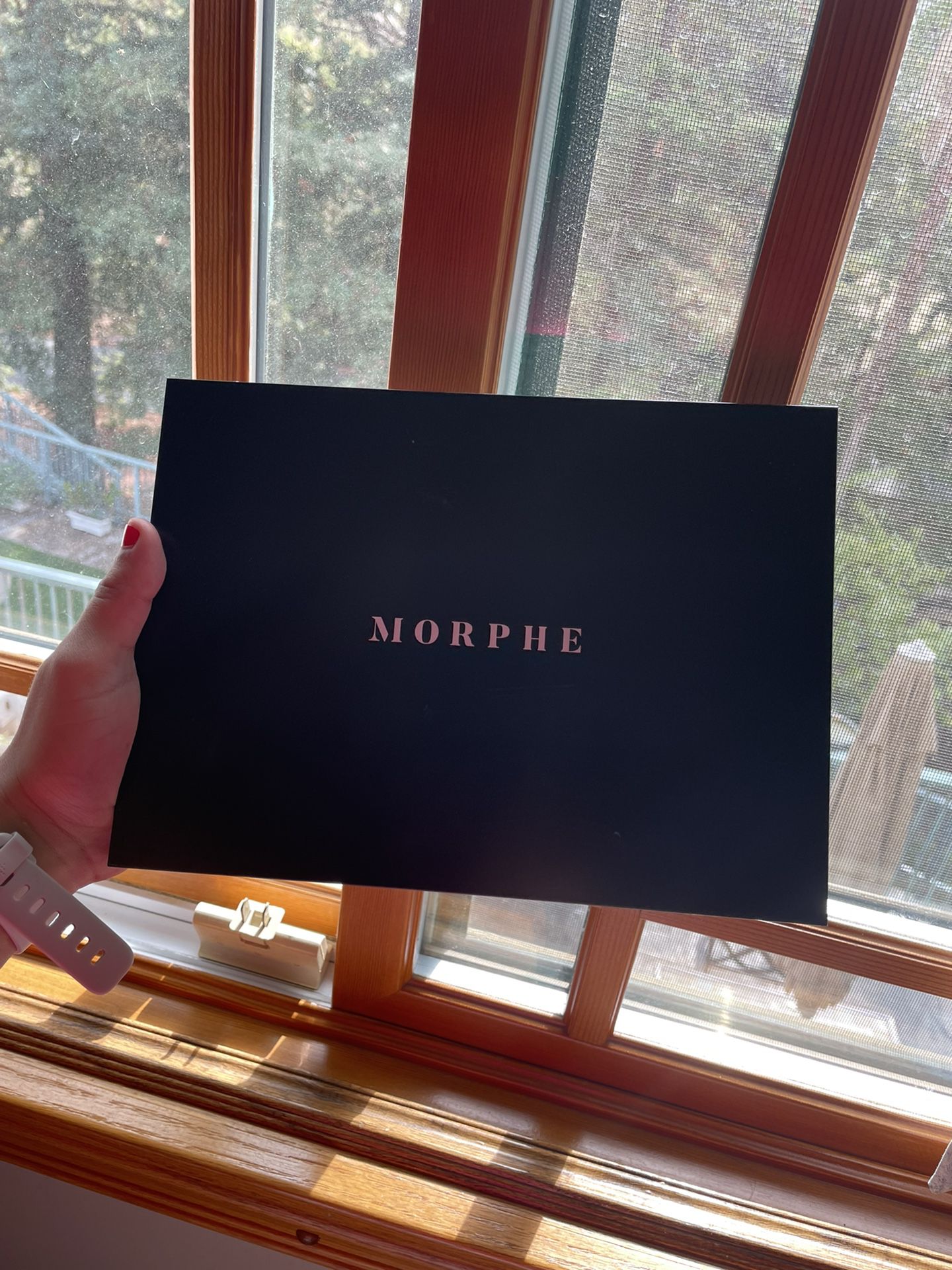 Morphe And James Charles Palettes 