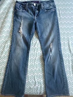 Vigoss collection The Melrose Boot Jeans