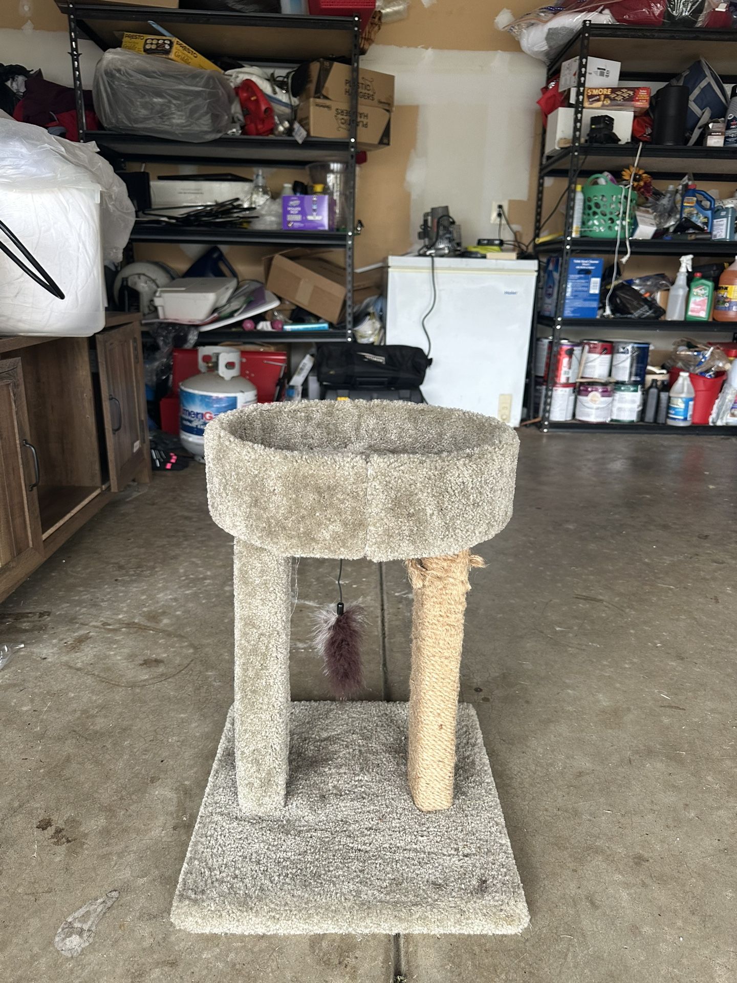 Cat Thing