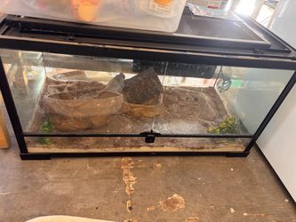 40 gallon tank