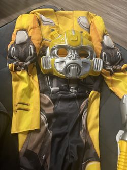 Boy Bumbleebee Costumes