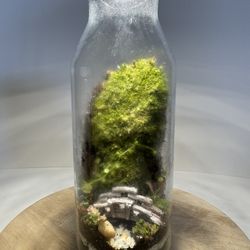 Terrarium