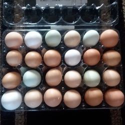 Farm fresh eggs Pachanga Parkway