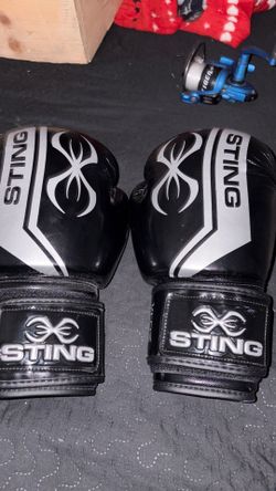 Boxing gloves 14oz