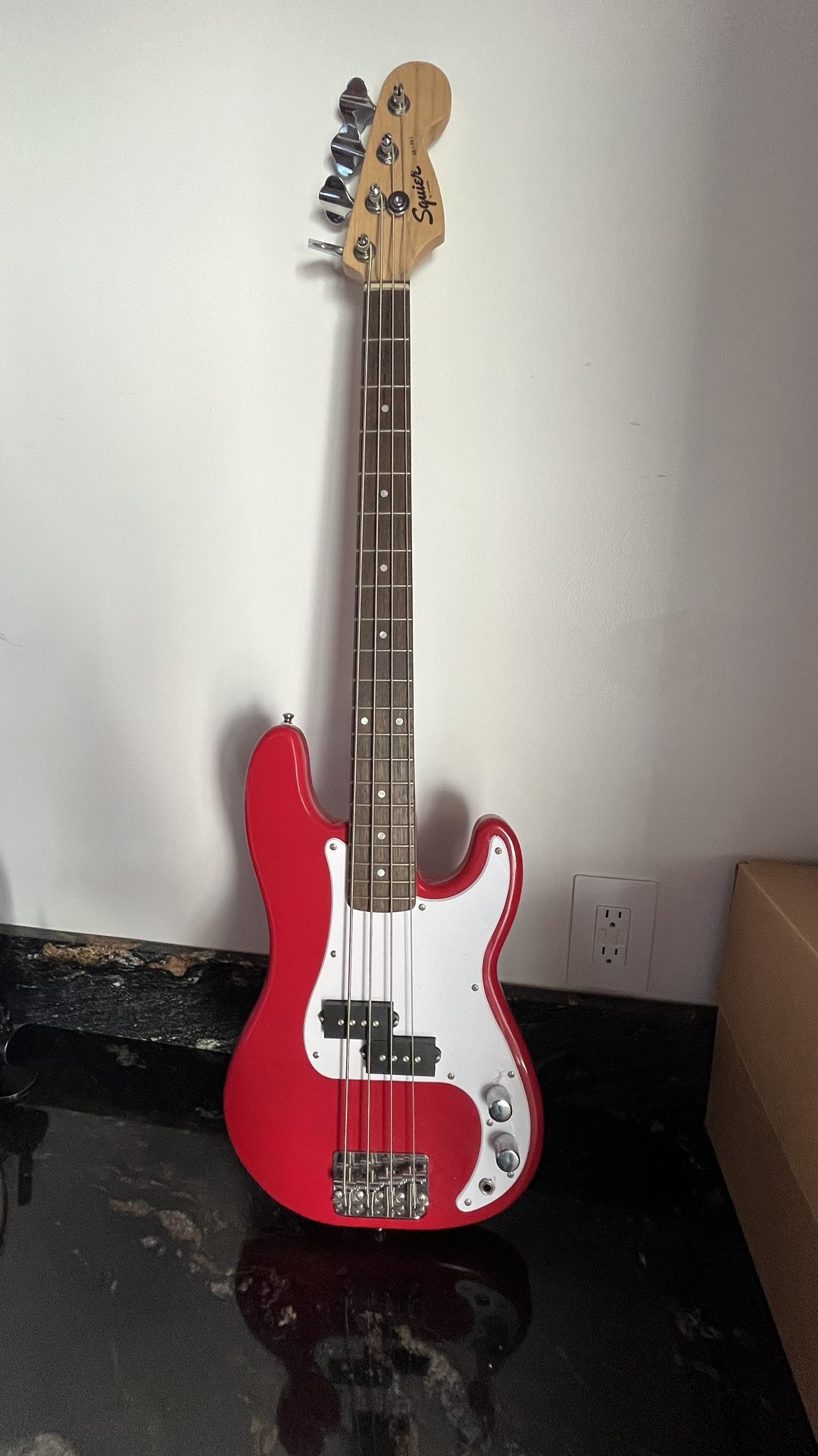 Electric Bass Guitar