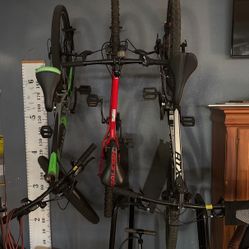 Three Bikes (price for single bike)