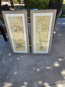 Pictures