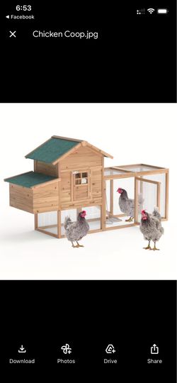 Chicken Coop
