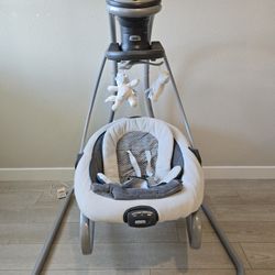 Graco Baby Rocker