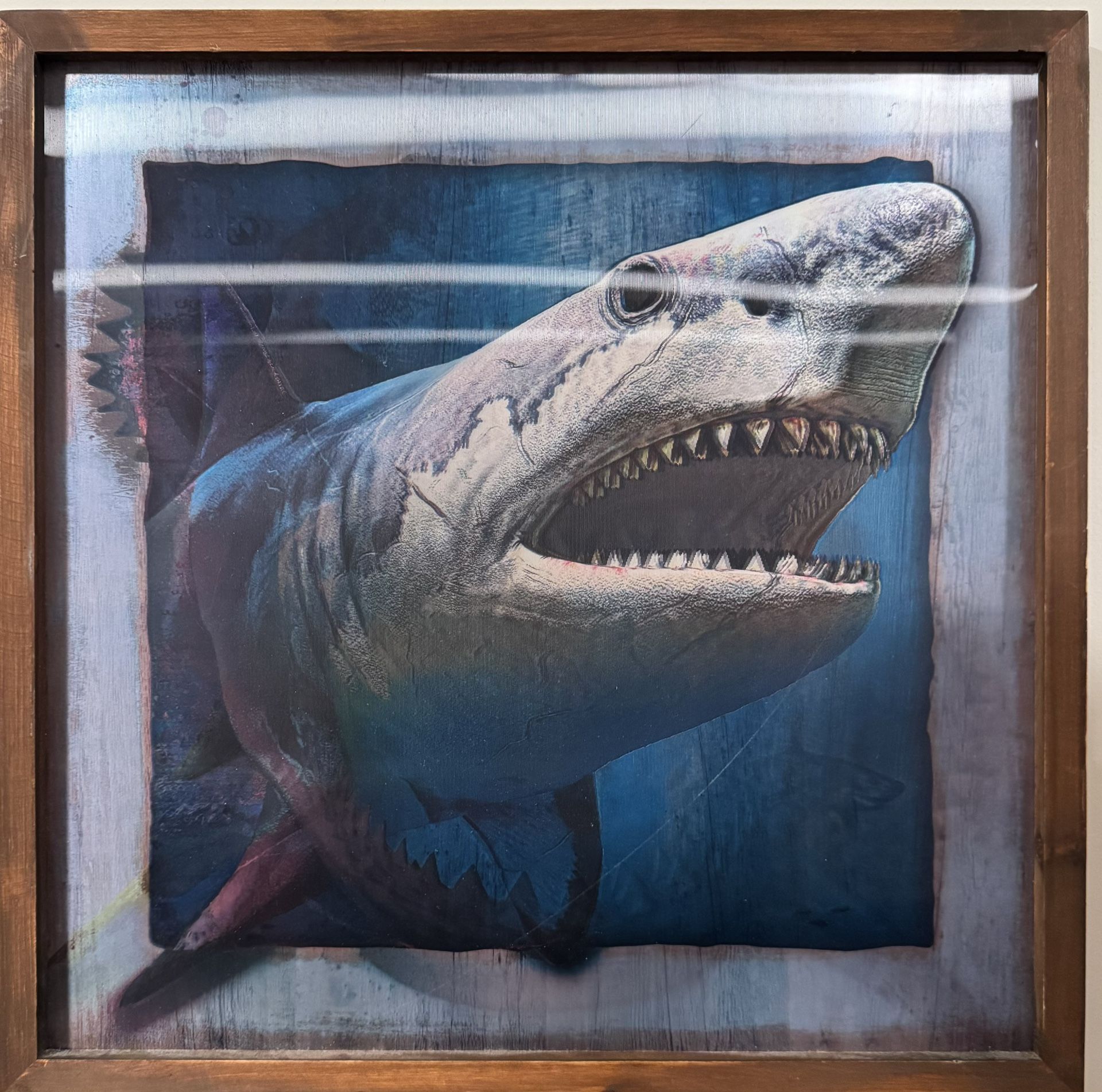 3D Shark Wall Art – Wood Frame – Open Road Brands