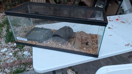 Reptile enclosure