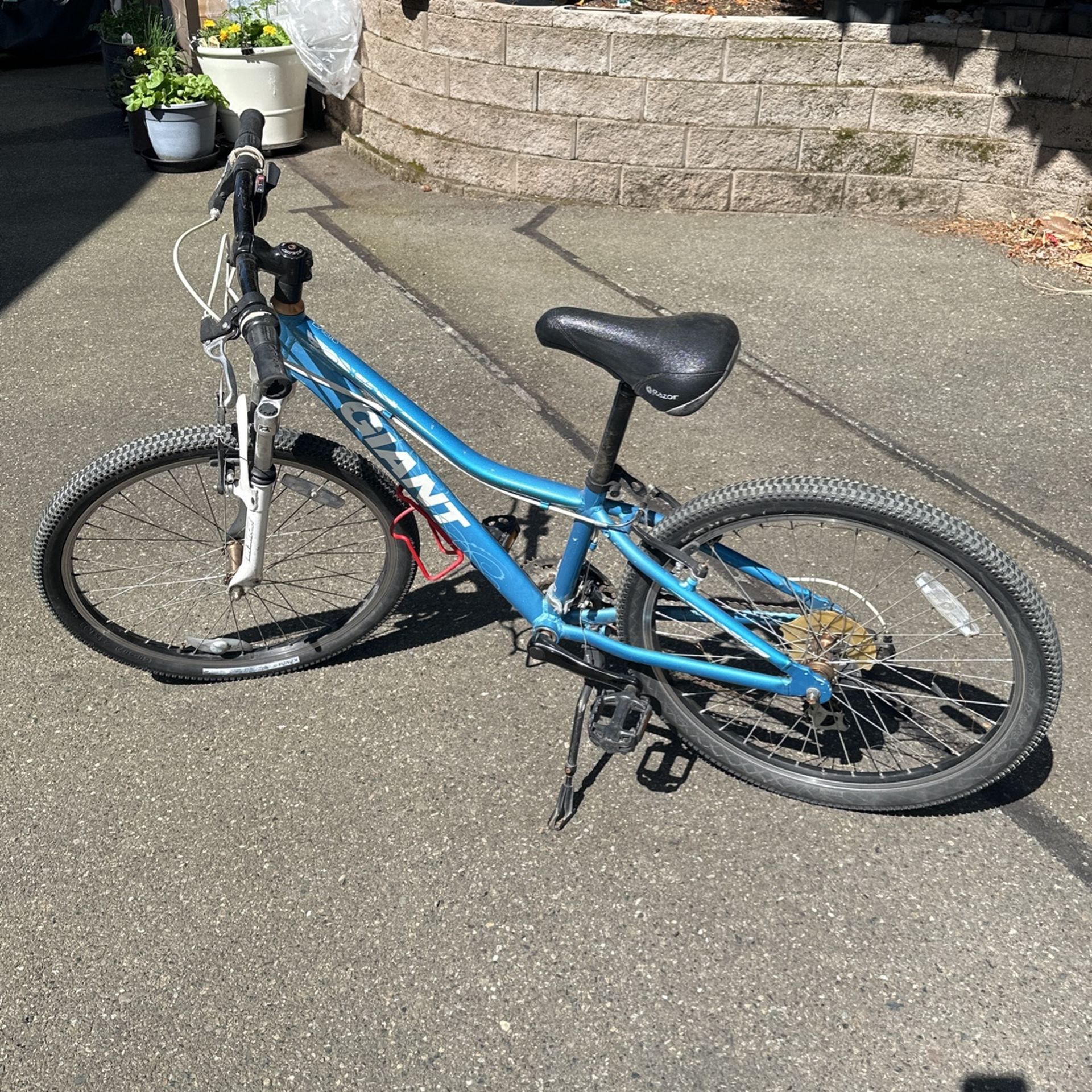 24” Giant Mountain Bike