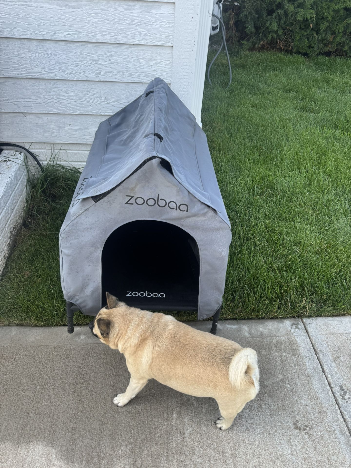 Dog House For Outdoors
