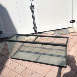 55 Gallon Aquarium 