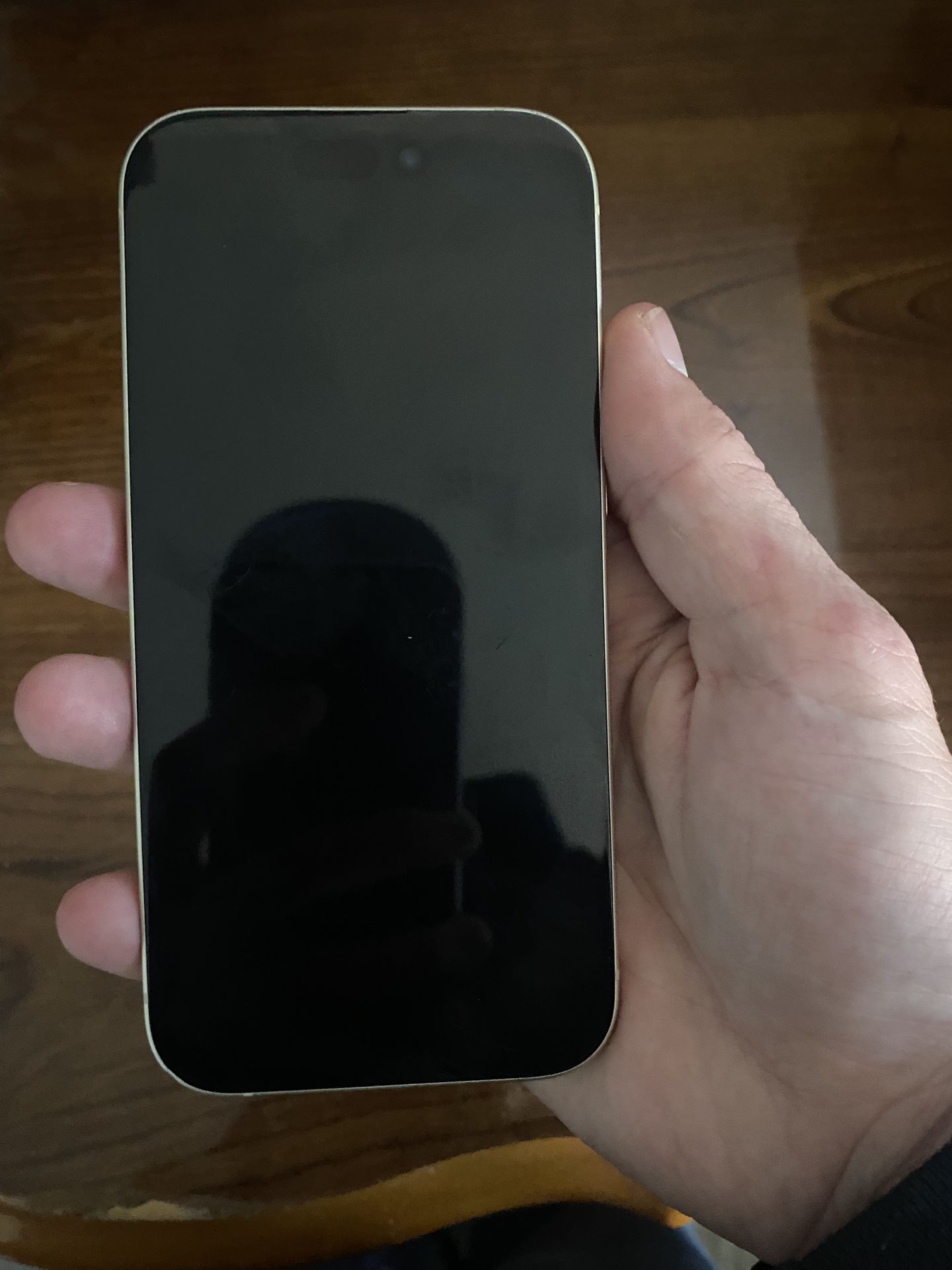 iPhone 15 Not Working