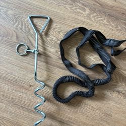 Spiral Stake For Dog