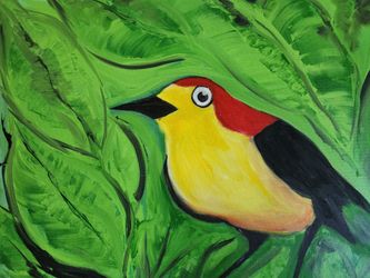 Original Art: Manakin
