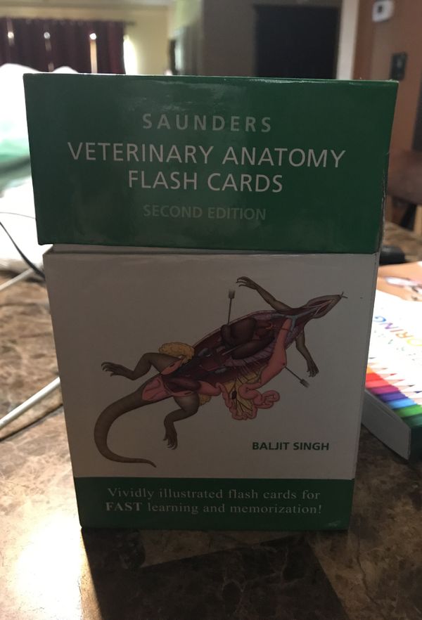 Veterinary Anatomy Flashcards And Coloring Book For Sale In Plant