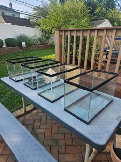 Set 4 tanks 10 gallon