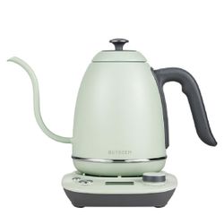 BUYDEEM Gooseneck Electric Pour-Over Kettle, Stainless Steel Coffee Tea Kettle with Variable Temperature Control, Mint Green