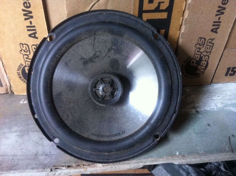 Phoenix gold speaker