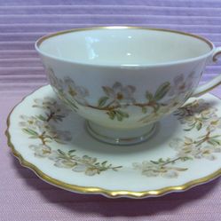 Syracuse Orchard China ~ Vintage Tea Cup & Saucer ~ Made In America